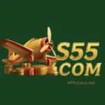 S55 Game