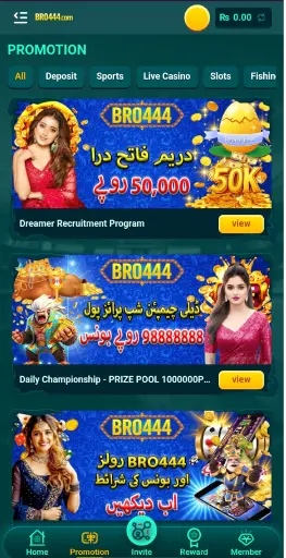 Bro444 Game