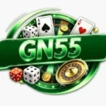 GN55 Game
